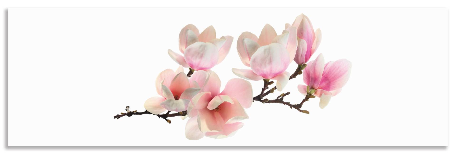 Artland Küchenrückwand »Magnolie«, (1 tlg.), Alu Spritzschutz mit Klebeband, einfache Montage von Artland