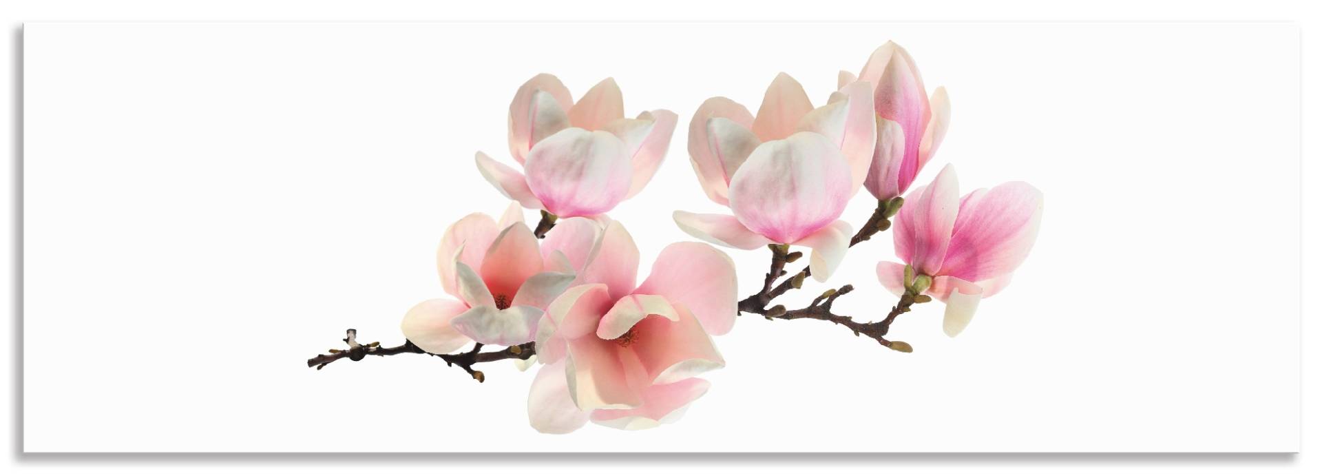 Artland Küchenrückwand »Magnolie«, (1 tlg.), Alu Spritzschutz mit Klebeband, einfache Montage von Artland