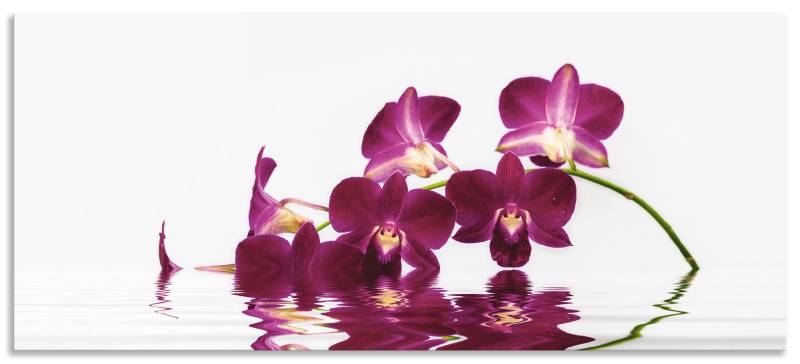 Artland Küchenrückwand »Phalaenopsis Orchidee«, (1 tlg.), Alu Spritzschutz mit Klebeband, einfache Montage von Artland