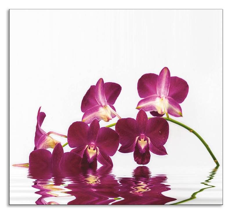 Artland Küchenrückwand »Phalaenopsis Orchidee«, (1 tlg.), Alu Spritzschutz mit Klebeband, einfache Montage von Artland