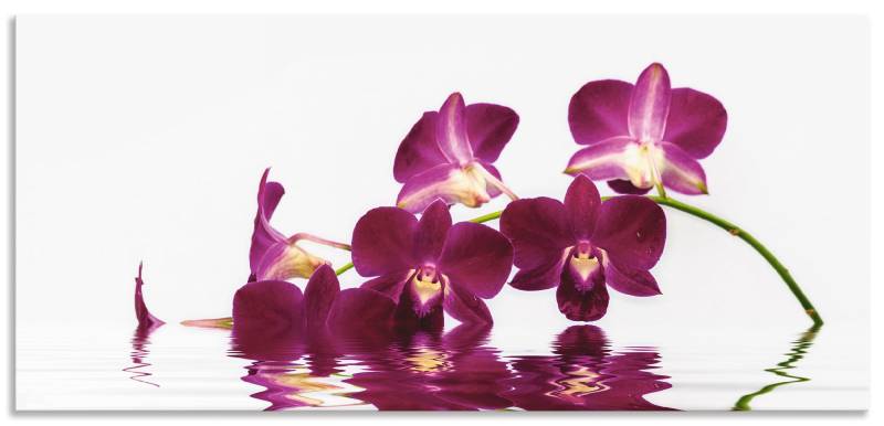 Artland Küchenrückwand »Phalaenopsis Orchidee«, (1 tlg.), Alu Spritzschutz mit Klebeband, einfache Montage von Artland