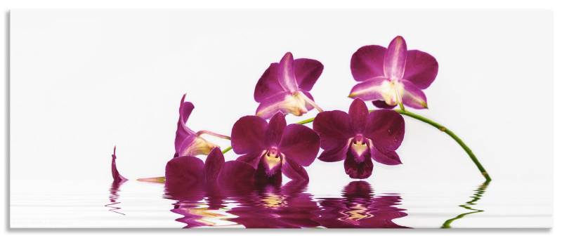 Artland Küchenrückwand »Phalaenopsis Orchidee«, (1 tlg.), Alu Spritzschutz mit Klebeband, einfache Montage von Artland