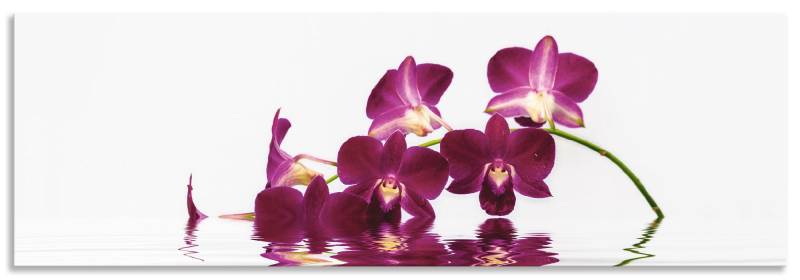 Artland Küchenrückwand »Phalaenopsis Orchidee«, (1 tlg.), Alu Spritzschutz mit Klebeband, einfache Montage von Artland