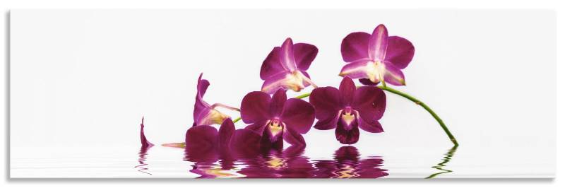 Artland Küchenrückwand »Phalaenopsis Orchidee«, (1 tlg.), Alu Spritzschutz mit Klebeband, einfache Montage von Artland