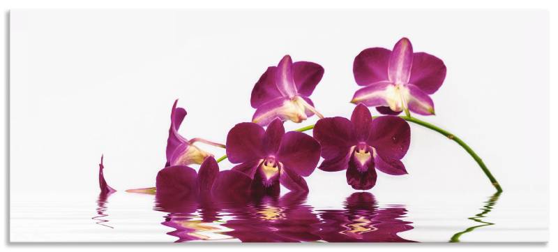 Artland Küchenrückwand »Phalaenopsis Orchidee«, (1 tlg.), Alu Spritzschutz mit Klebeband, einfache Montage von Artland