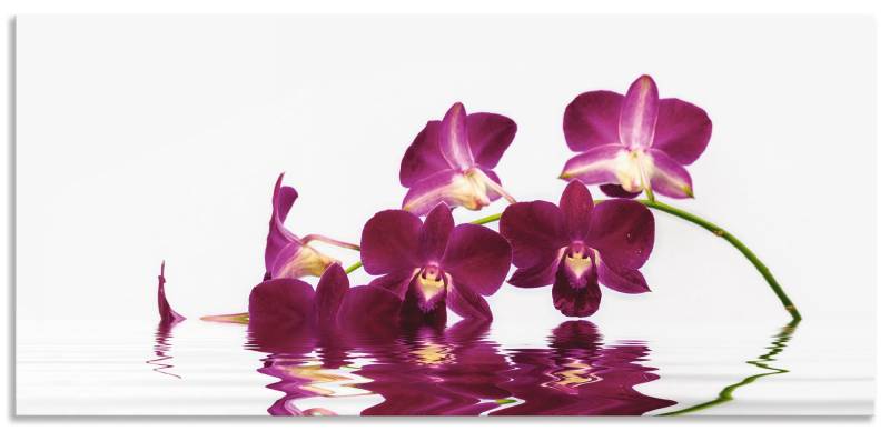 Artland Küchenrückwand »Phalaenopsis Orchidee«, (1 tlg.), Alu Spritzschutz mit Klebeband, einfache Montage von Artland