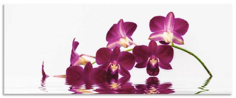 Artland Küchenrückwand »Phalaenopsis Orchidee«, (1 tlg.), Alu Spritzschutz mit Klebeband, einfache Montage von Artland