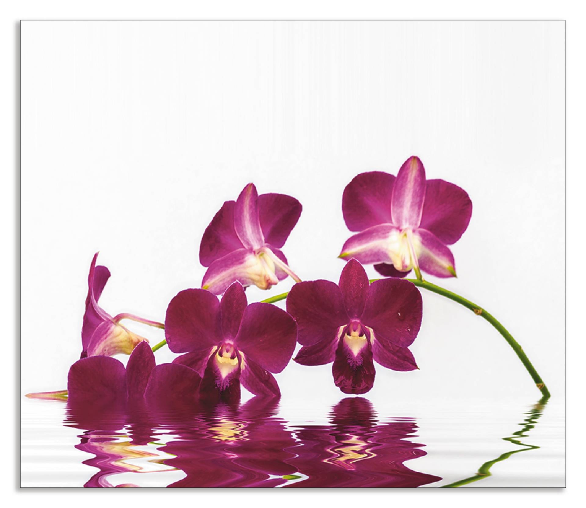 Artland Küchenrückwand »Phalaenopsis Orchidee«, (1 tlg.), Alu Spritzschutz mit Klebeband, einfache Montage von Artland