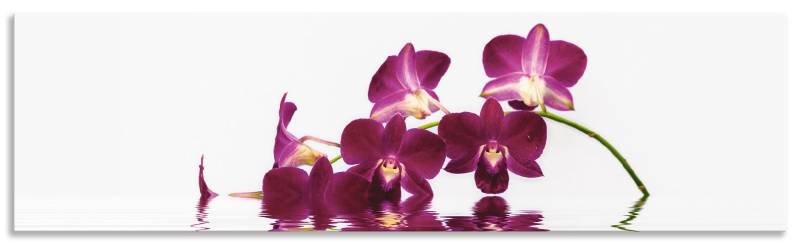 Artland Küchenrückwand »Phalaenopsis Orchidee«, (1 tlg.), Alu Spritzschutz mit Klebeband, einfache Montage von Artland