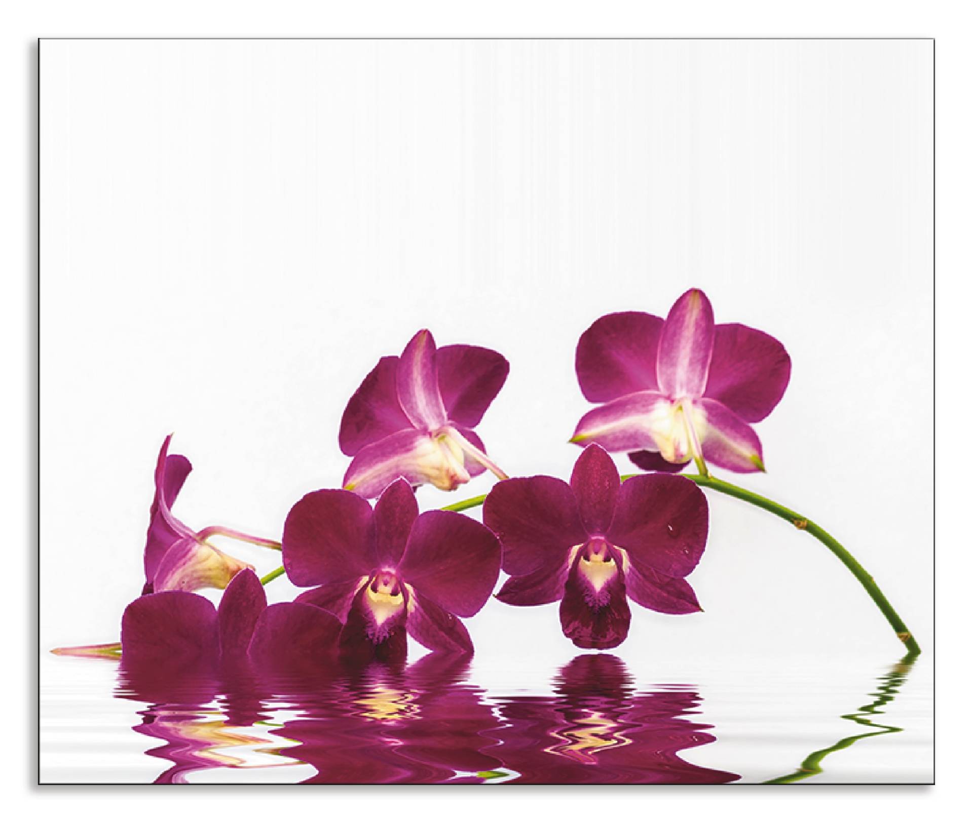 Artland Küchenrückwand »Phalaenopsis Orchidee«, (1 tlg.), Alu Spritzschutz mit Klebeband, einfache Montage von Artland