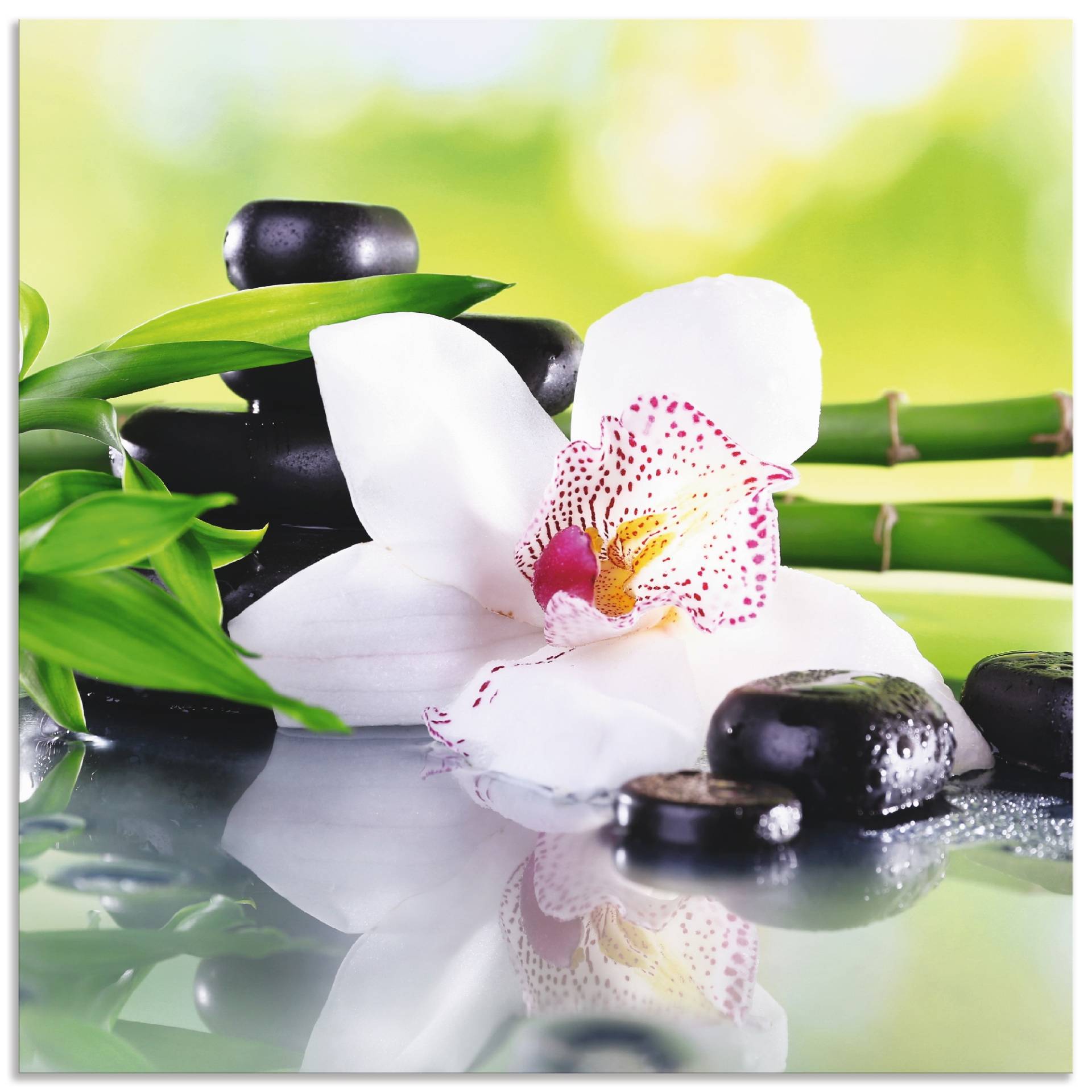 Artland Küchenrückwand »Spa Steine Bambus Zweige Orchidee«, (1 tlg.), Alu Spritzschutz mit Klebeband, einfache Montage Artland Küchenrückwand »Spa Steine Bambus Zweige Orchidee«, (1 tlg.), Alu Spritzschutz mit Klebeband, einfache Montage von Artland