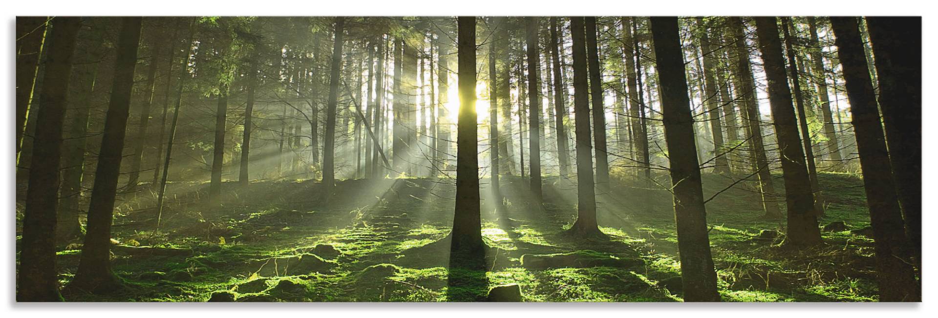 Artland Küchenrückwand »Wald im Gegenlicht«, (1 tlg.), Alu Spritzschutz mit Klebeband, einfache Montage von Artland