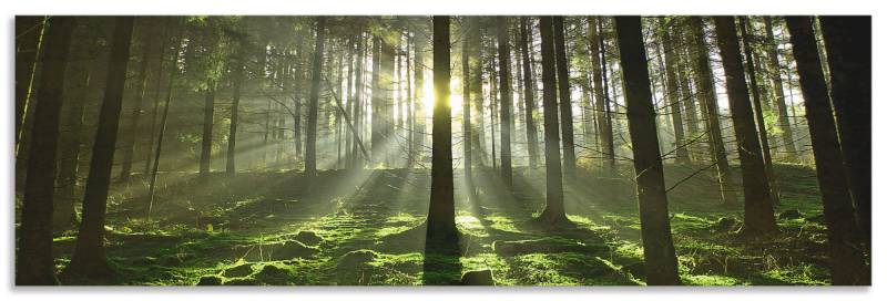 Artland Küchenrückwand »Wald im Gegenlicht«, (1 tlg.), Alu Spritzschutz mit Klebeband, einfache Montage von Artland