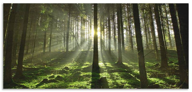 Artland Küchenrückwand »Wald im Gegenlicht«, (1 tlg.), Alu Spritzschutz mit Klebeband, einfache Montage von Artland