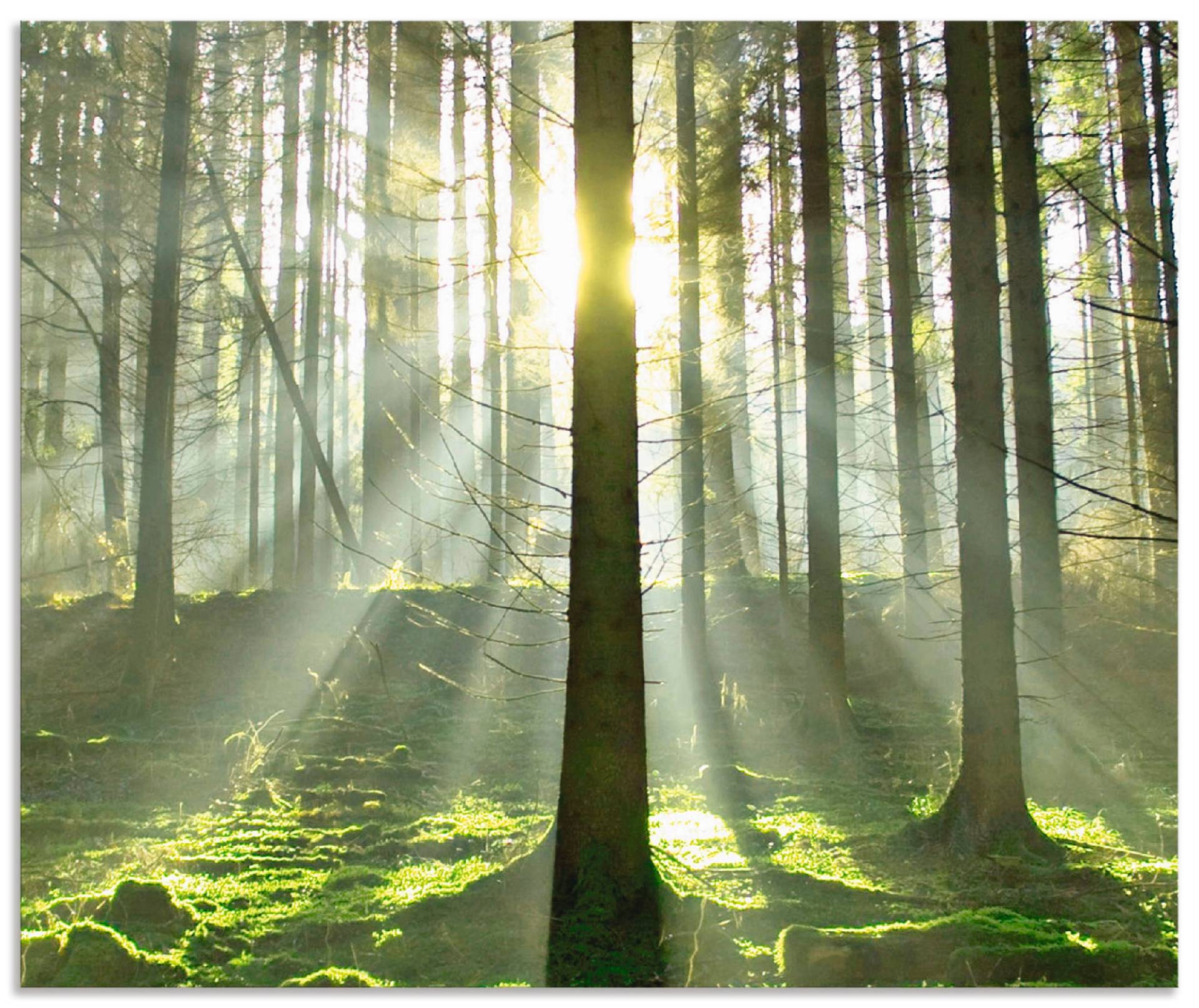 Artland Küchenrückwand »Wald im Gegenlicht«, (1 tlg.), Alu Spritzschutz mit Klebeband, einfache Montage von Artland