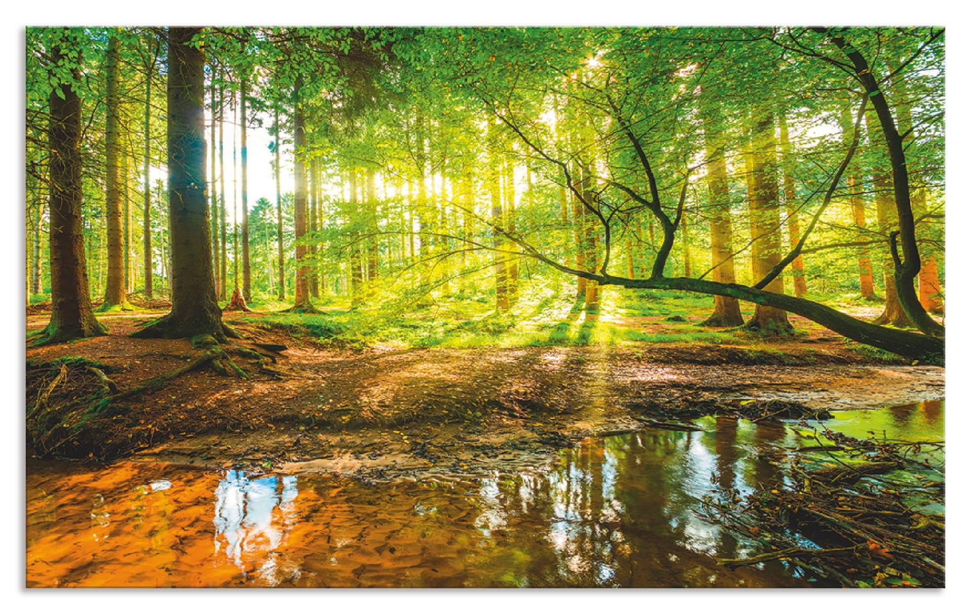 Artland Küchenrückwand »Wald mit Bach«, (1 tlg.), Alu Spritzschutz mit Klebeband, einfache Montage von Artland