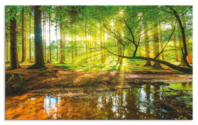 Artland Küchenrückwand »Wald mit Bach«, (1 tlg.), Alu Spritzschutz mit Klebeband, einfache Montage von Artland