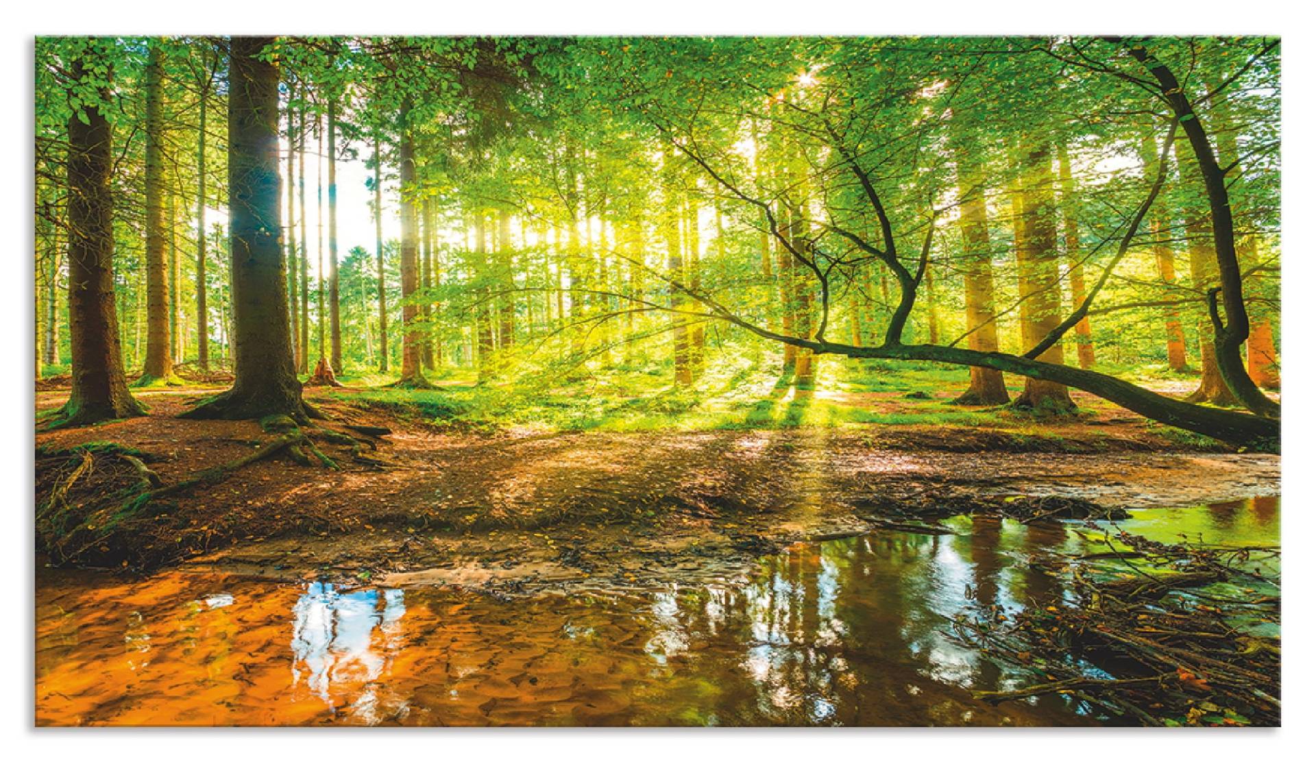 Artland Küchenrückwand »Wald mit Bach«, (1 tlg.), Alu Spritzschutz mit Klebeband, einfache Montage von Artland