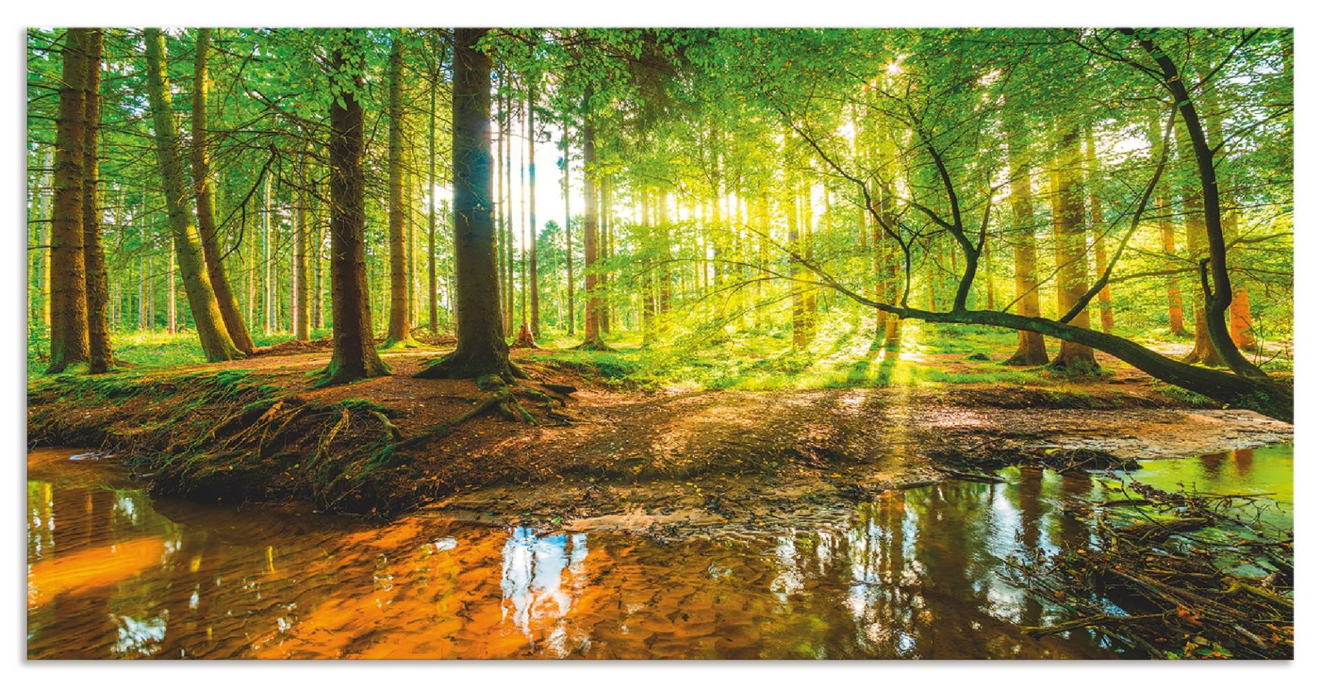 Artland Küchenrückwand »Wald mit Bach«, (1 tlg.), Alu Spritzschutz mit Klebeband, einfache Montage von Artland