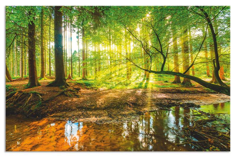 Artland Küchenrückwand »Wald mit Bach«, (1 tlg.), Alu Spritzschutz mit Klebeband, einfache Montage von Artland