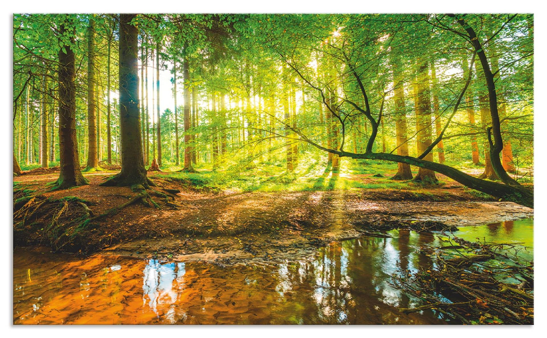 Artland Küchenrückwand »Wald mit Bach«, (1 tlg.), Alu Spritzschutz mit Klebeband, einfache Montage von Artland