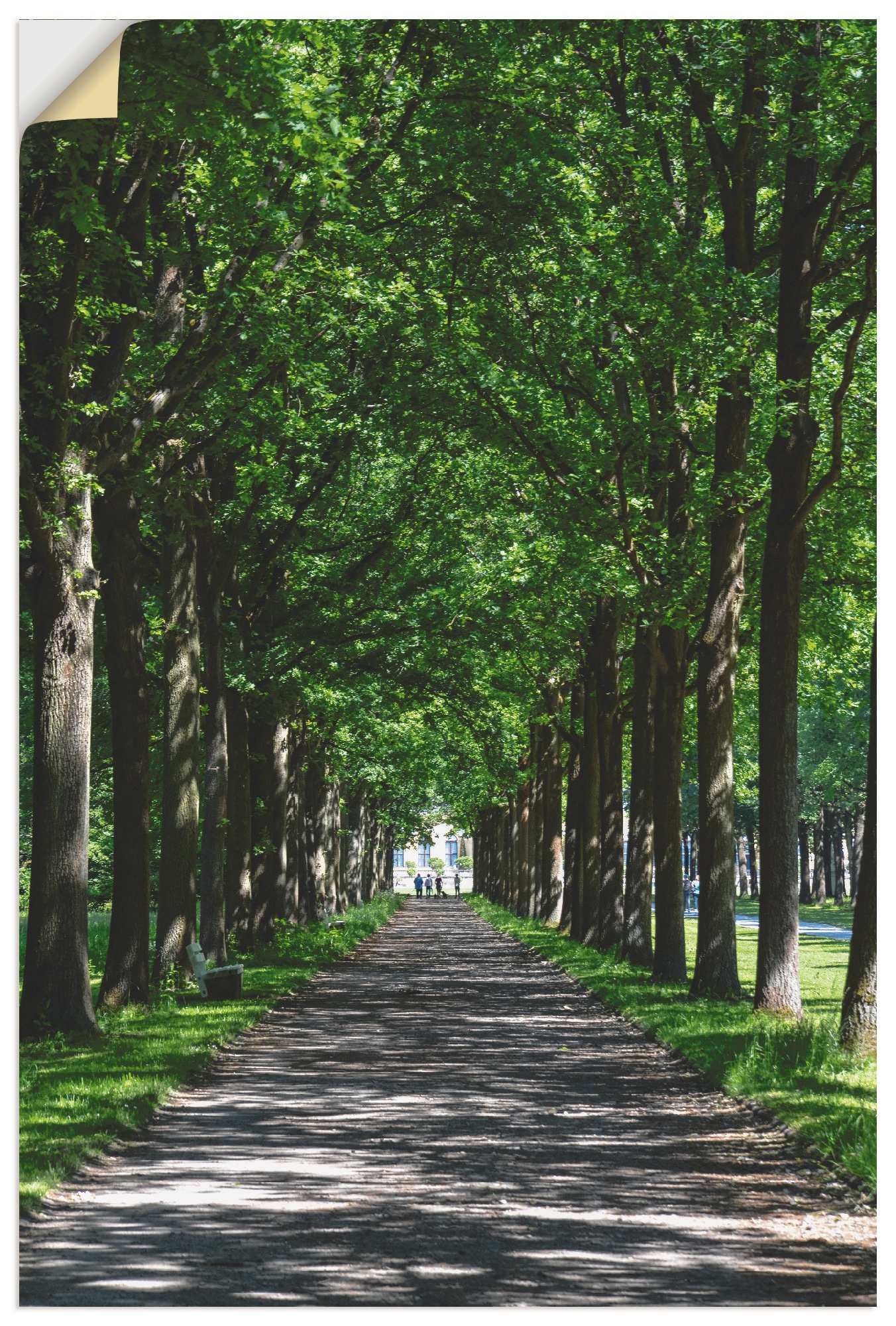 Artland Leinwandbild »Allee in der Karlsaue in Kassel«, Bäume, (1 St.), auf Keilrahmen gespannt von Artland