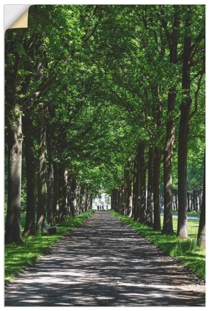 Artland Leinwandbild »Allee in der Karlsaue in Kassel«, Bäume, (1 St.), auf Keilrahmen gespannt von Artland