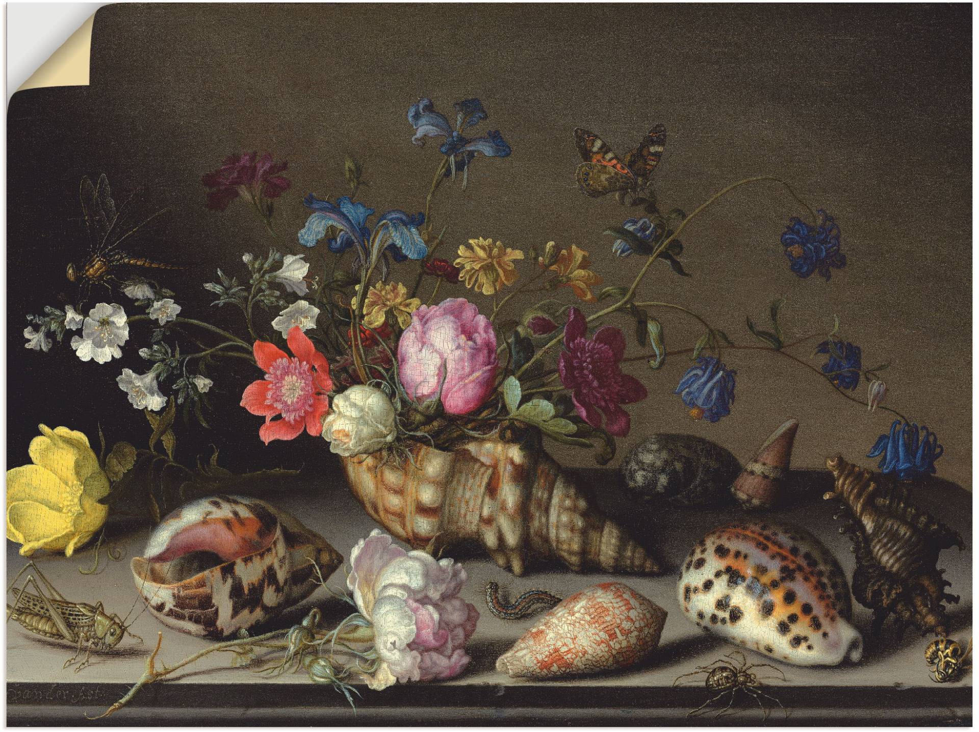 Artland Leinwandbild »Blumen, Muscheln und Insekten«, Arrangements, (1 St.), auf Keilrahmen gespannt von Artland