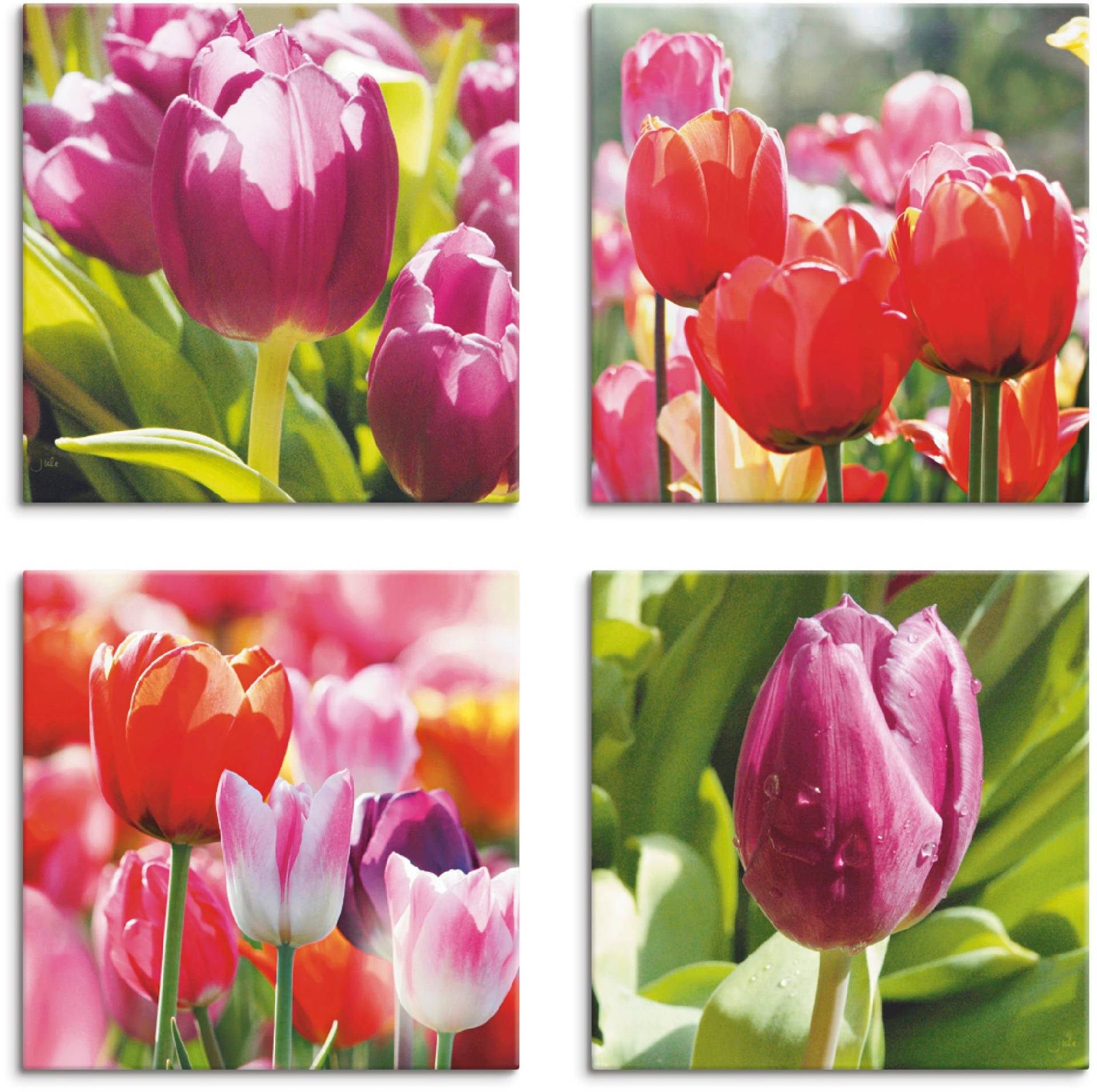 Artland Leinwandbild »Frühling und Tulpen«, Blumen, (4 St.), 4er Set, verschiedene Grössen von Artland