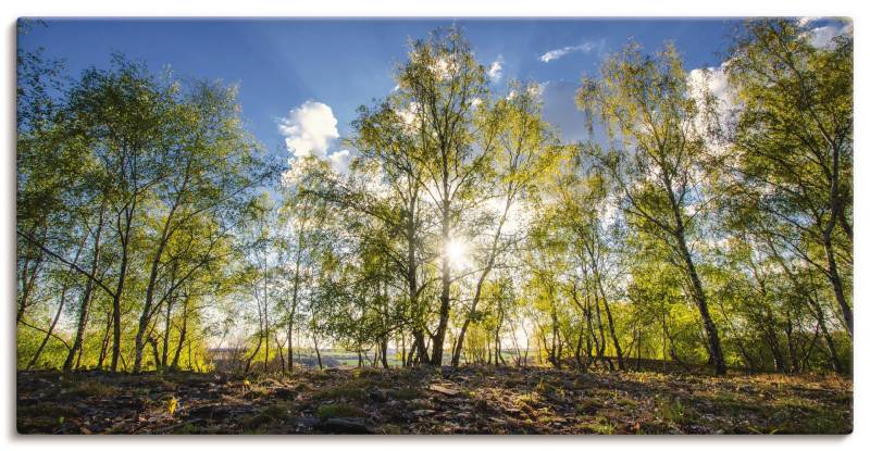 Artland Leinwandbild »Frühlingssonne«, Wald, (1 St.), auf Keilrahmen gespannt von Artland