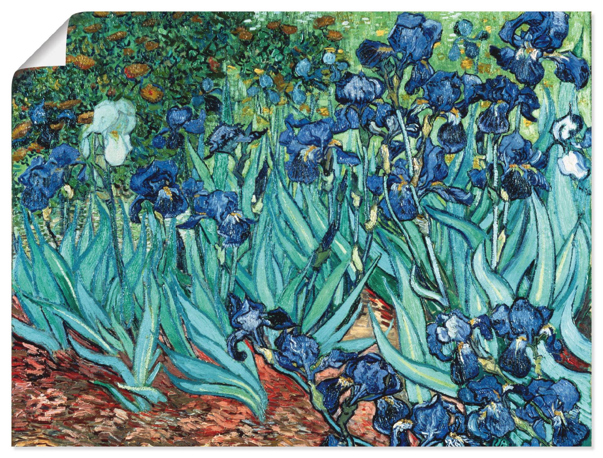 Artland Leinwandbild »Iris (Schwertlilien). 1889«, Blumen, (1 St.), auf Keilrahmen gespannt von Artland