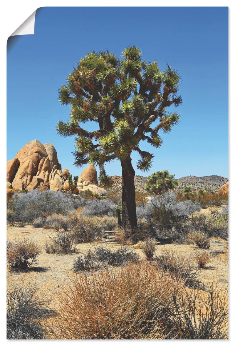 Artland Leinwandbild »Joshua Tree in der Mojave Wüste III«, Wüste, (1 St.), auf Keilrahmen gespannt von Artland