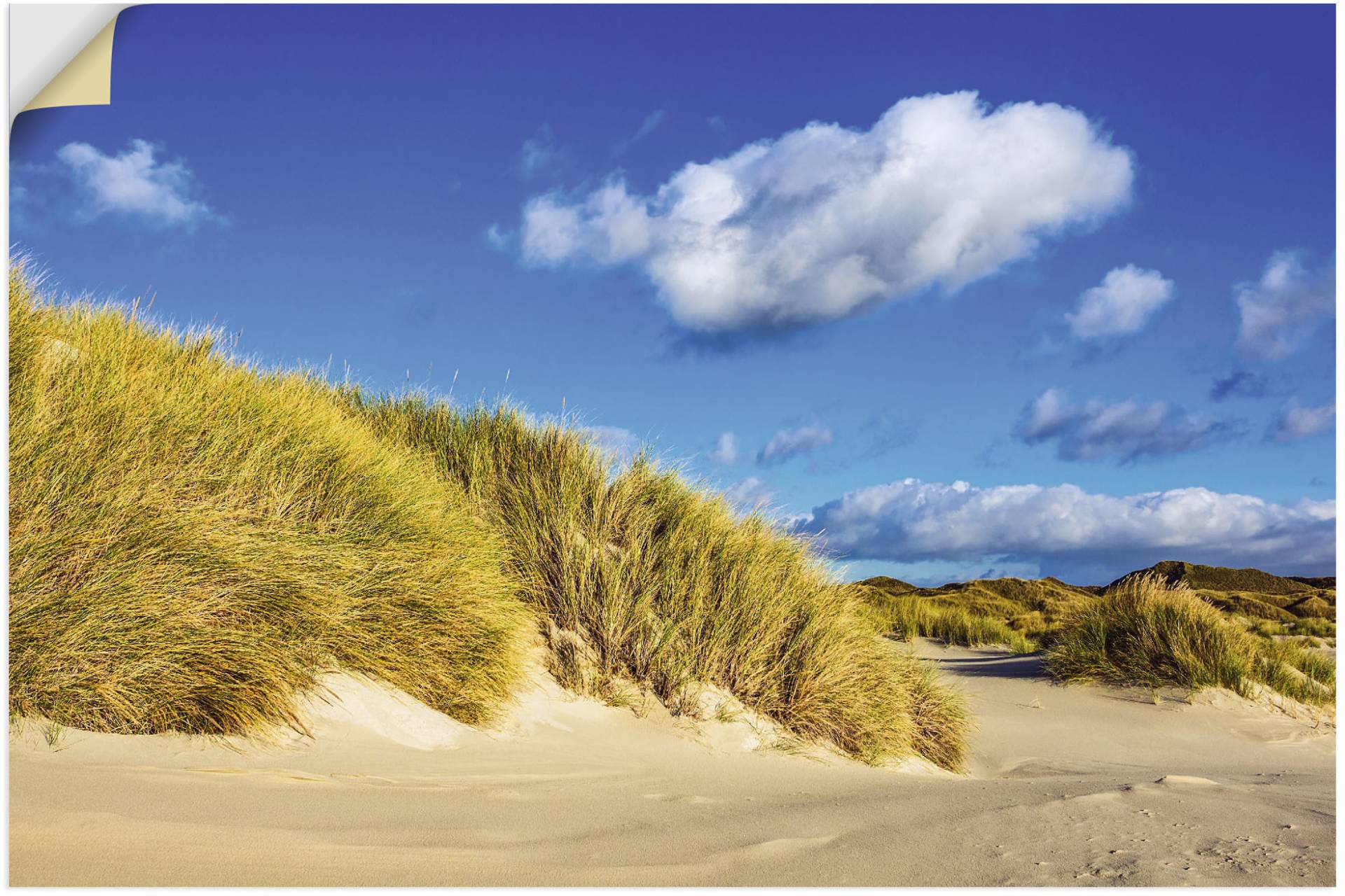 Artland Leinwandbild »Landschaft mit Dünen Insel Amrum«, Strandbilder, (1 St.), auf Keilrahmen gespannt von Artland