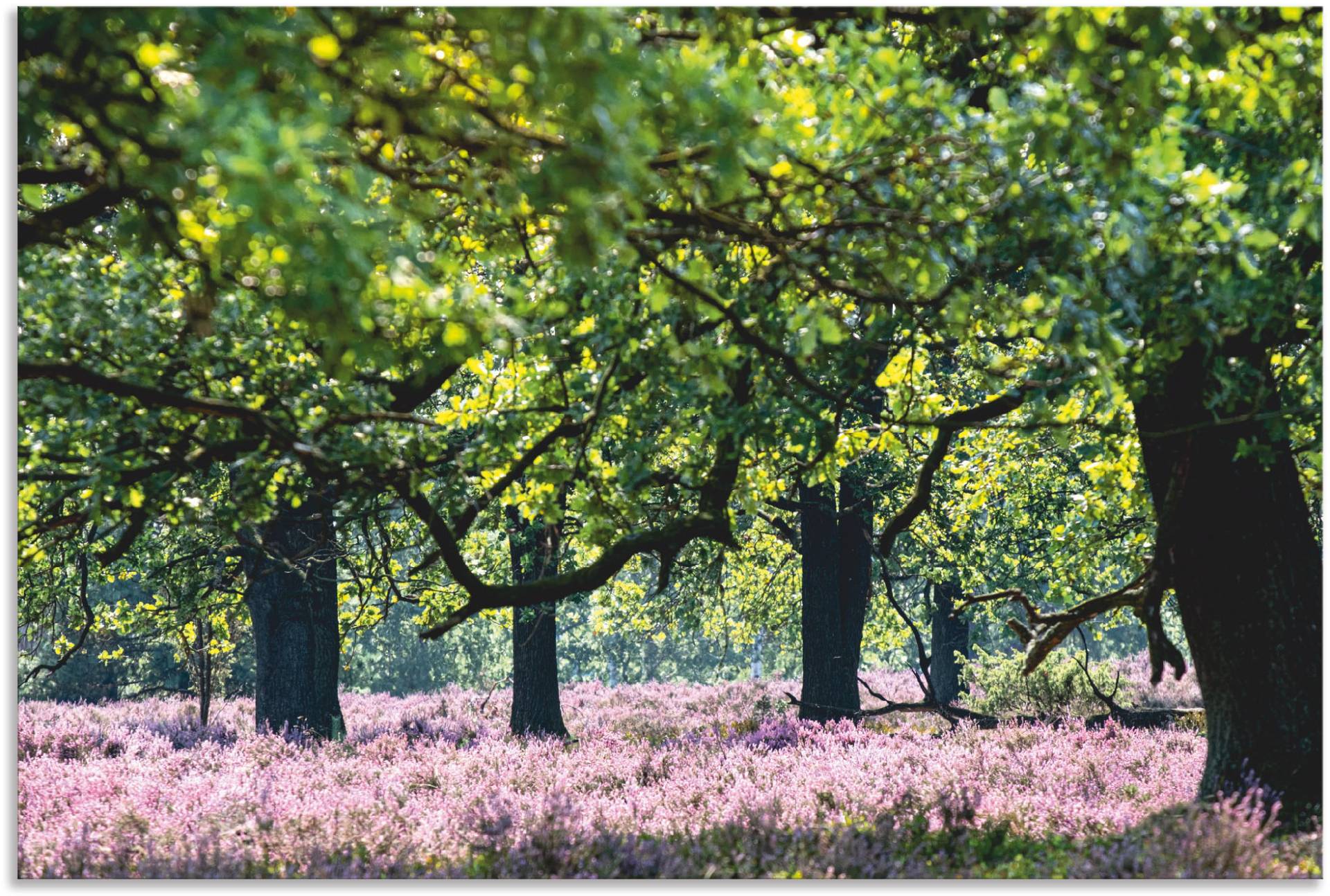 Artland Leinwandbild »Lüneburger Heide«, Wiesen & Baumbilder, (1 St.), auf Keilrahmen gespannt von Artland