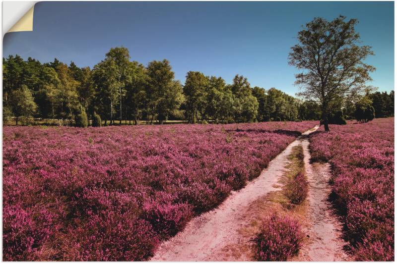 Artland Leinwandbild »Lüneburger Heide Romantik«, Blumenwiese, (1 St.), auf Keilrahmen gespannt von Artland