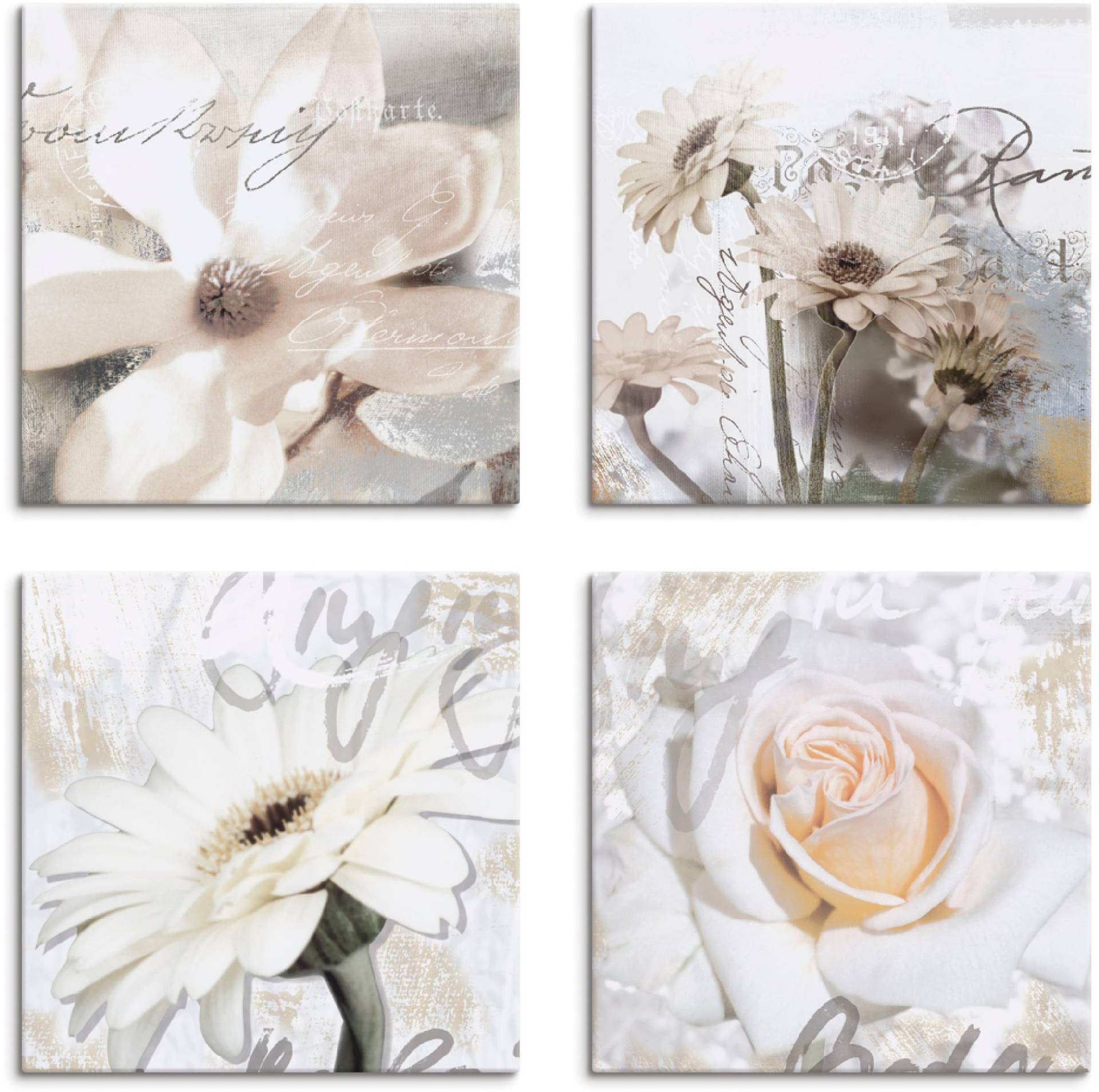 Artland Leinwandbild »Magnolie Gerberas Rosen in Buchstaben«, Blumen, (4 St.), 4er Set, verschiedene Grössen von Artland