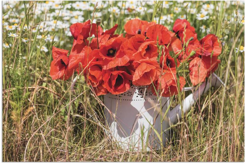 Artland Leinwandbild »Mohnblüten im Feld«, Blumenwiese, (1 St.), auf Keilrahmen gespannt von Artland