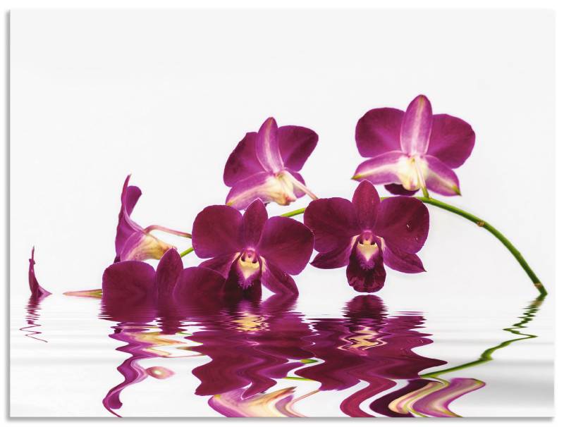 Artland Leinwandbild »Phalaenopsis Orchidee«, Blumen, (1 St.), auf Keilrahmen gespannt von Artland