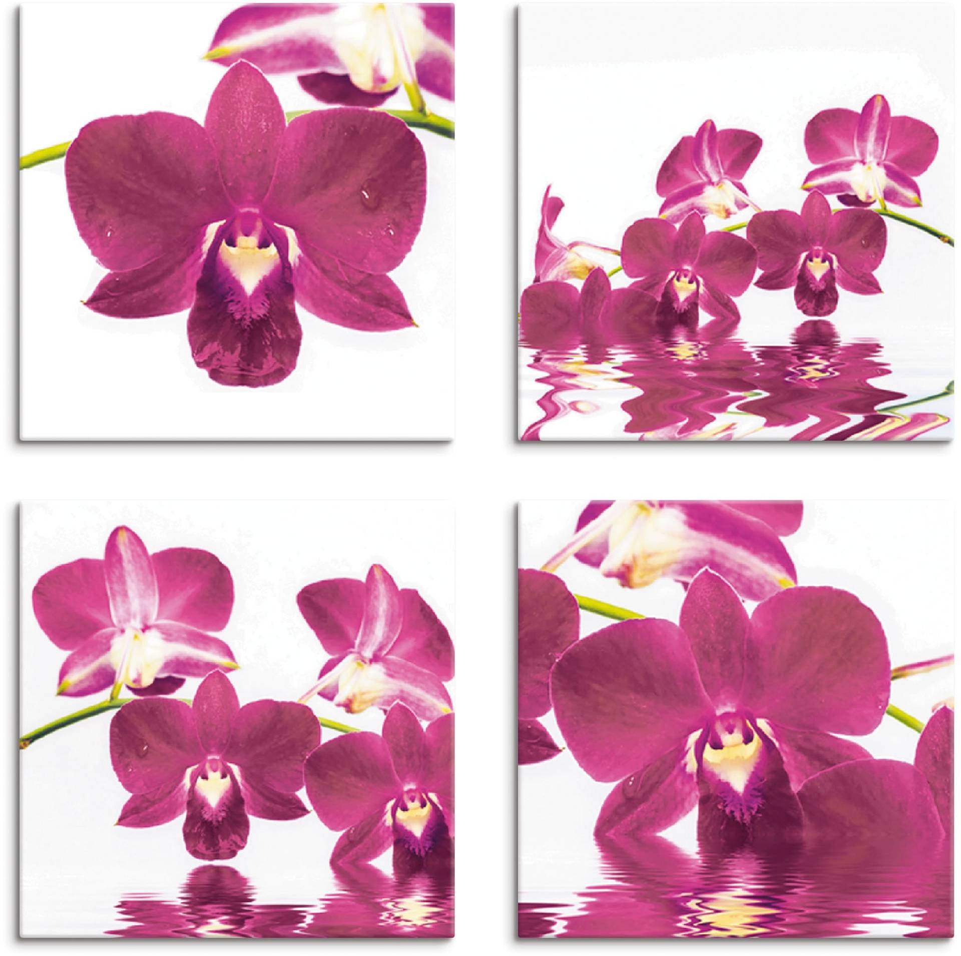 Artland Leinwandbild »Phalaenopsis Orchidee«, Blumen, (4 St.), 4er Set, verschiedene Grössen von Artland