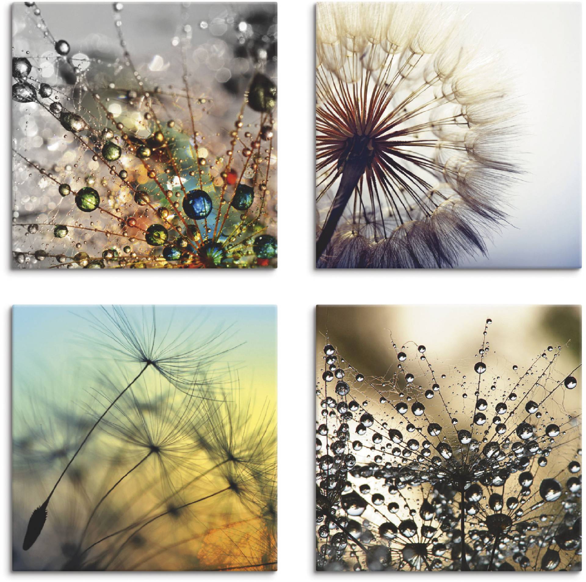 Artland Leinwandbild »Pusteblume,Nahaufnahme Löwenzahn«, Blumen, (4 St.), 4er Set, verschiedene Grössen Artland Leinwandbild »Pusteblume,Nahaufnahme Löwenzahn«, Blumen, (4 St.), 4er Set, verschiedene Grössen von Artland