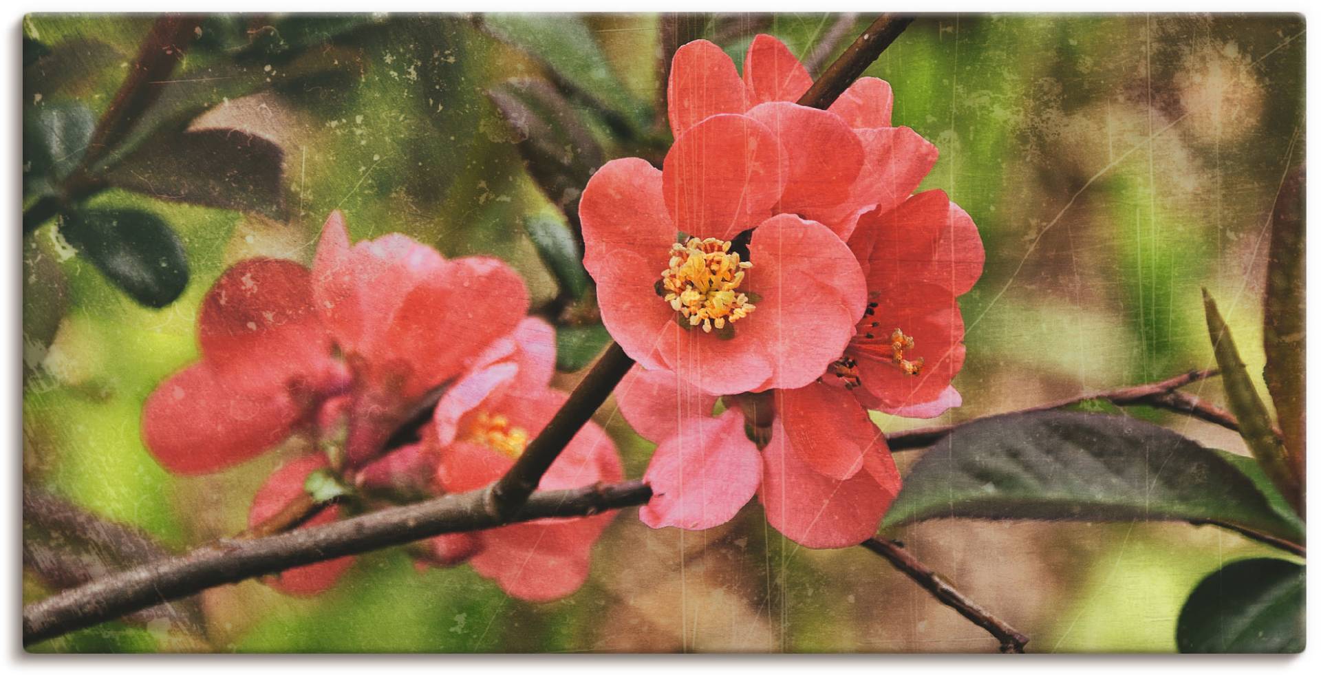 Artland Leinwandbild »Quittenblüte«, Blumen, (1 St.), auf Keilrahmen gespannt von Artland