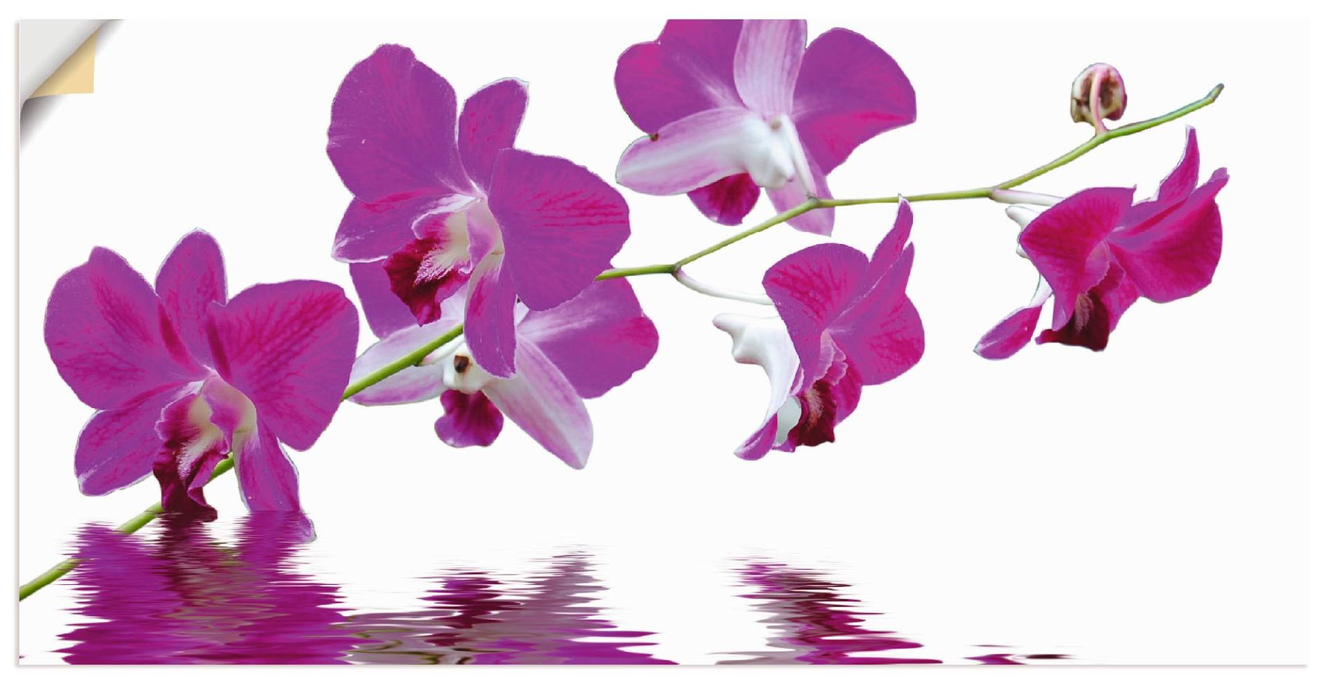 Artland Leinwandbild »Violette Orchideen«, Blumen, (1 St.), auf Keilrahmen gespannt von Artland