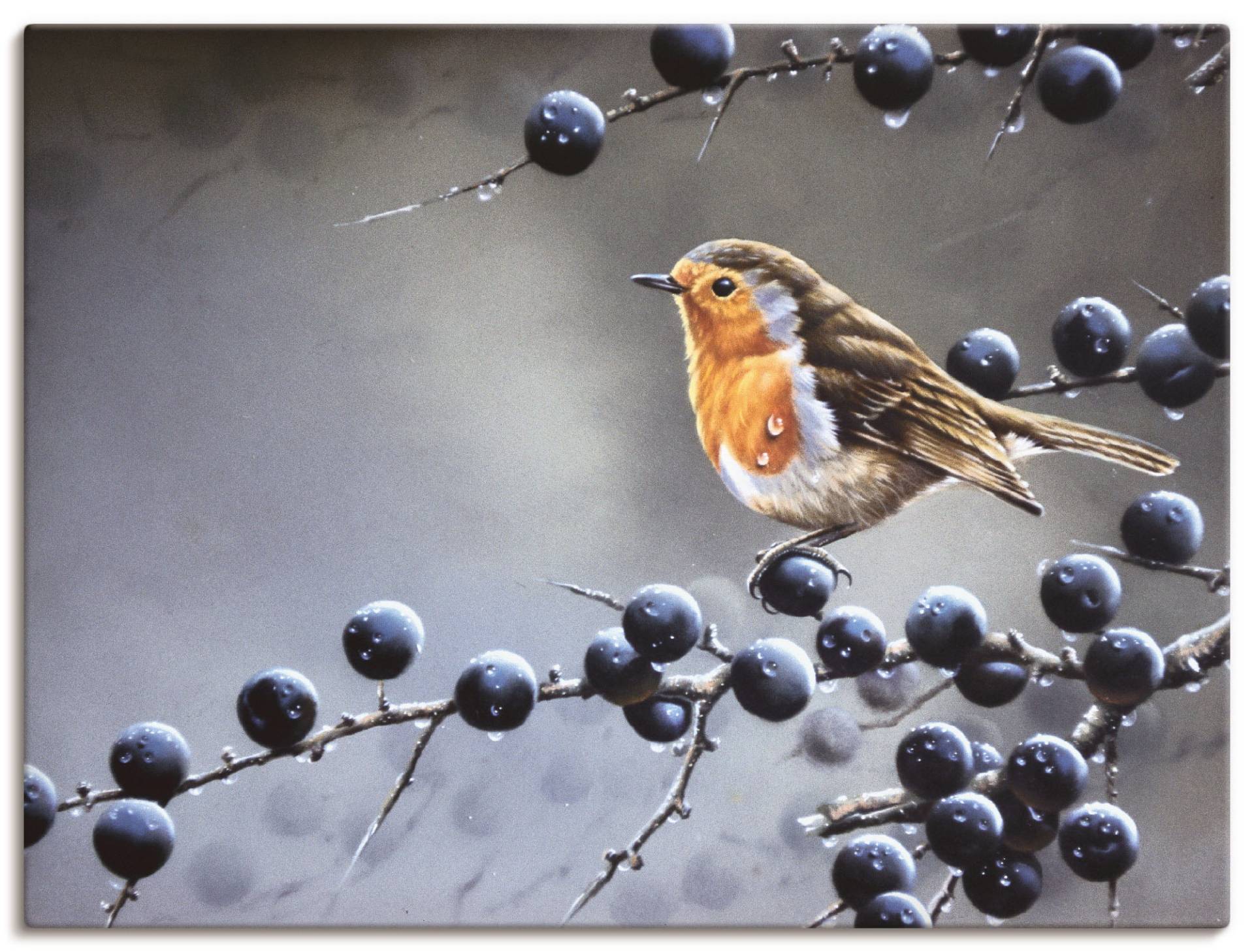 Artland Leinwandbild »Vogel im Beerenbaum«, Vögel, (1 St.), auf Keilrahmen gespannt von Artland