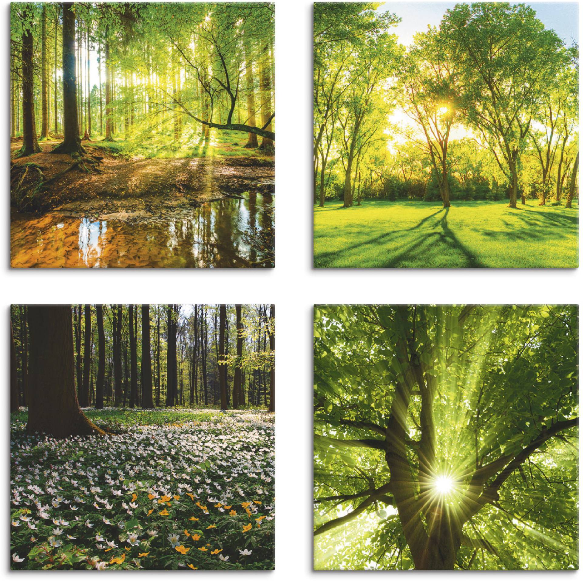 Artland Leinwandbild »Wald Bach Frühling Windrosen Sonne Baum«, Wald, (4 St.), 4er Set, verschiedene Grössen von Artland