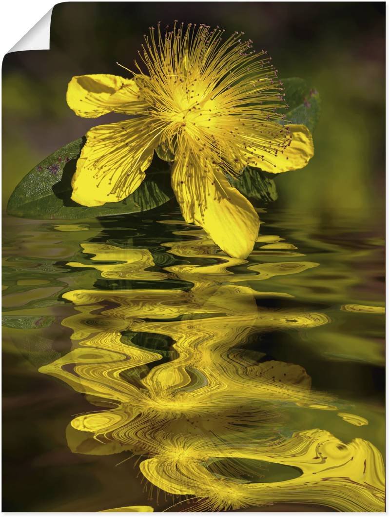 Artland Leinwandbild »Wasserblüte - Johanniskraut«, Spa Bilder, (1 St.), auf Keilrahmen gespannt von Artland