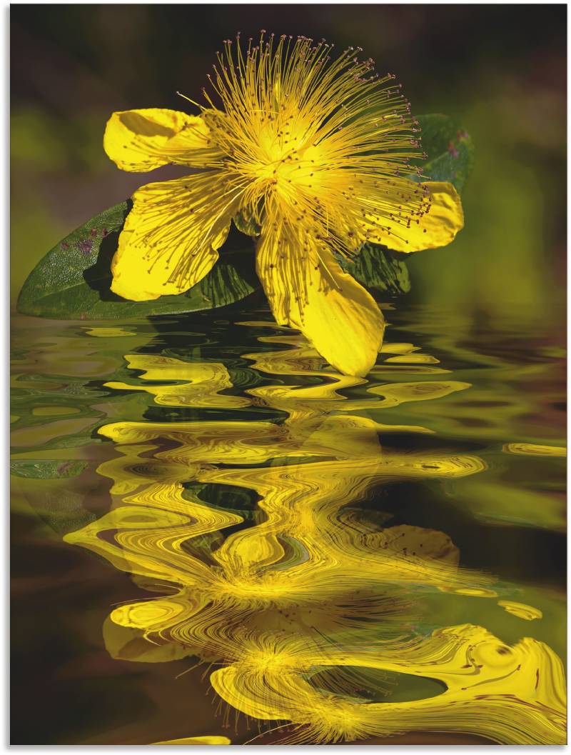 Artland Leinwandbild »Wasserblüte - Johanniskraut«, Spa Bilder, (1 St.), auf Keilrahmen gespannt von Artland