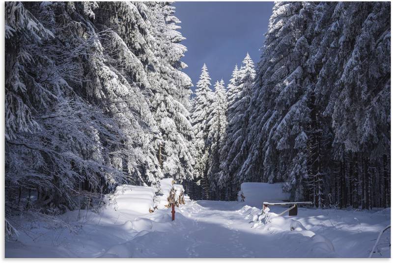 Artland Leinwandbild »Winter im Thüringer Wald II«, Waldbilder, (1 St.), auf Keilrahmen gespannt von Artland