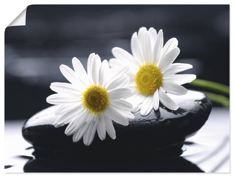 Artland Leinwandbild »Zwei Gerbera auf einem Zenstein«, Blumen, (1 St.), auf Keilrahmen gespannt von Artland