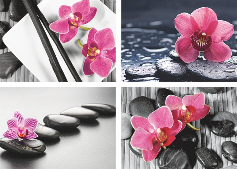 Artland Poster »Asiatische Komposition Orchidee Zen«, Zen, (4 St.), Poster, Wandbild, Bild, Wandposter von Artland