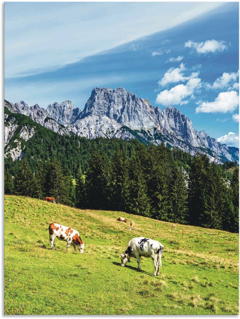 Artland Poster »Blick auf die Litzlalm mit Kühen«, Berge & Alpenbilder, (1 St.), als Alubild, Leinwandbild, Wandaufkleber oder Poster in versch. Grössen von Artland